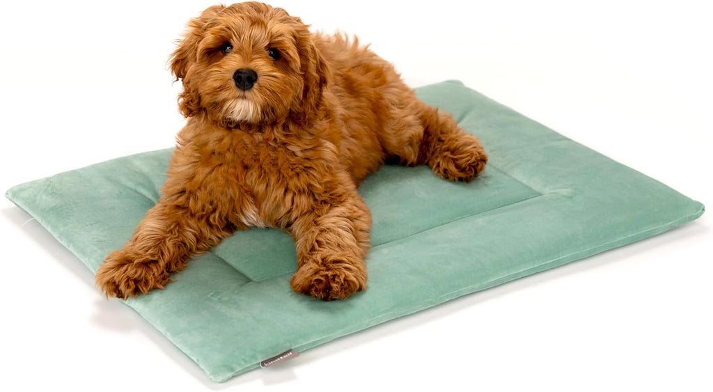 KindTail Dog Crate Pad - Soft Velvet, Reversible Bed - Machine Washable Kennel Mat for Pets up to 25 lbs - Mattress for Cozy Sleeping - 25” x 19” x 1” (Light Green, Medium)