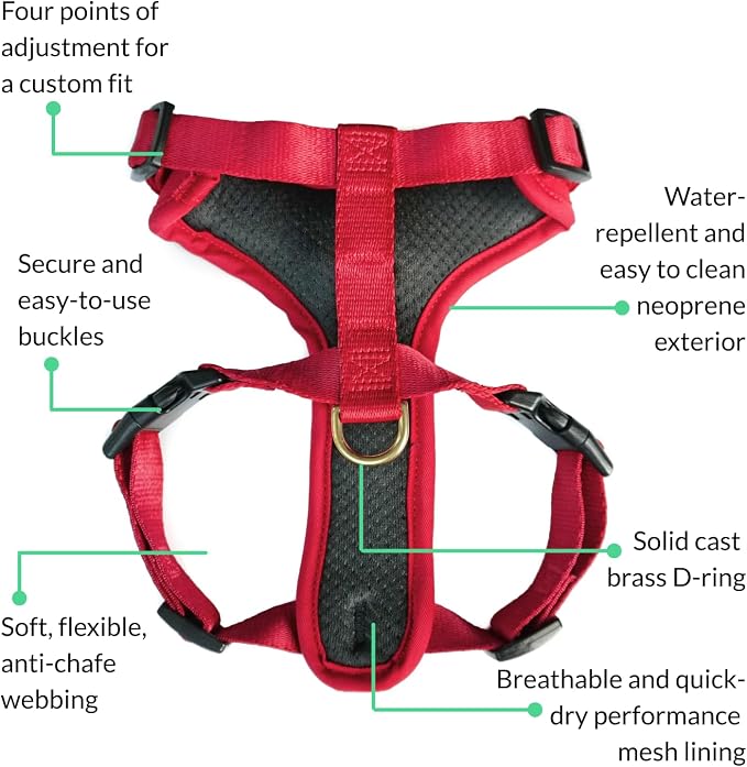 Adventure Dog Harness - Stylish and Durable Small Dog Harness for Outdoor Adventures and Everyday Wear - Red Neoprene Adjustable Harness for Dogs with Reflective Piping, Solid Brass D-Ring