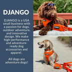 Adventure Dog Harness - Stylish, & Durable Medium Dog Harness for Outdoor Adventures and Everyday Wear - Sunset Orange Neoprene Adjustable Harness for Dogs with Reflective Piping & Brass D-ring