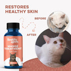 Mange Support for Cats, Natural Cat Itchy Skin, Paws and Ears Relief - Soothes Welts, Scabs, Red and Flaky Skin Reducing Excessive Grooming and Patchy Fur for a Healthy Coat (400 Tiny Tasteless Pills)