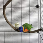 Parrot Perch Stand Bird Cage Stand Pole Natural Wild Grape Stick Grinding Paw Cage Accessories for Parakeet Cockatiels Budgies Conure Lovebirds Platform (U-Shaped)