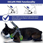 Gooby Sporty Escape Free Harness, Medium - Black, Neoprene, No-Pull, 4-Point Adjustment for Small Dogs up to 35 lbs | Patented escape-free frame; Reduces choking; 4-point adjustment; Soft neoprene padding; Durable webbed straps