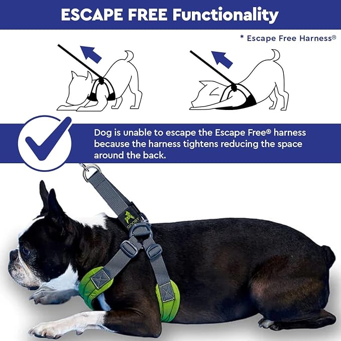 Gooby Sporty Escape Free Harness, Medium - Black, Neoprene, No-Pull, 4-Point Adjustment for Small Dogs up to 35 lbs | Patented escape-free frame; Reduces choking; 4-point adjustment; Soft neoprene padding; Durable webbed straps