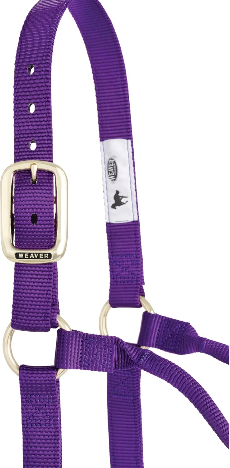 Weaver Equine Nylon Horse Halter, Triple-Ply Cheek Design, Original Non Adjustable Halters for Horses, Equine Tack,Average Size, Black