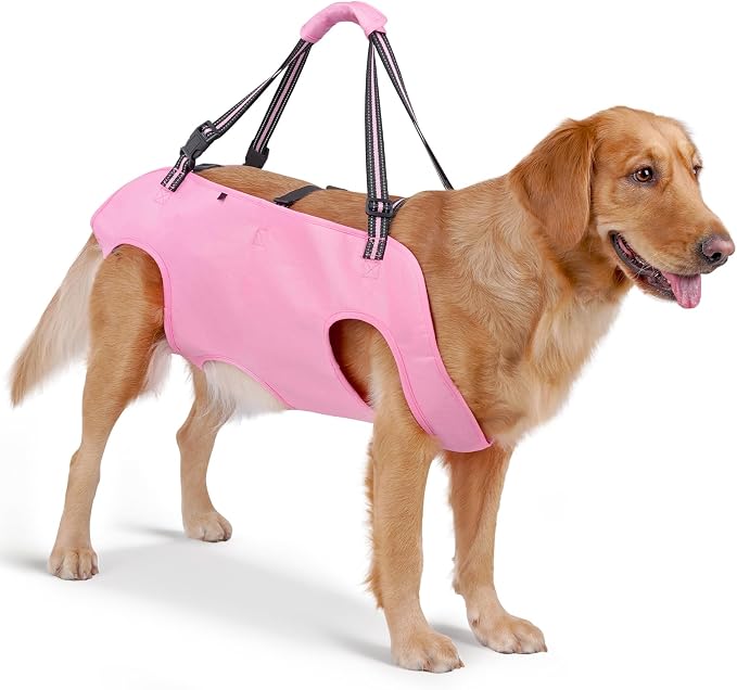 Full Body Dog Lift Harness, Support Senior & Disabled Dogs Walking | Help Up & Down Stairs Grooming, Dog Sling Backpack, Front Hind Leg Joint Injuries, Reflective, Soft Padded Handle | Pink, XL