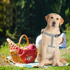 PUPTECK No Pull Dog Harness Soft Adjustable Basic Nylon Step in Puppy Vest Outdoor Walking with ID Tag, Grey, M