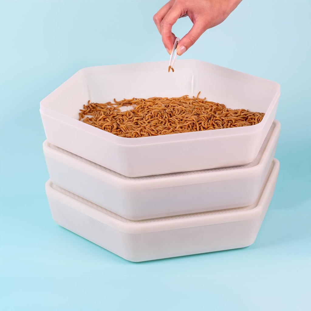 Mealworm Growing Kit by The Bug Factory - Raise Dried Mealworms at Home, Mealworm Growing, Breeding, Rearing & Raising Kit | Includes Full Lifecycle Habitat Pods + Carbon Filters