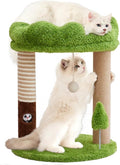 WOOCHPET Small Cat Tree with Perch Cat Bed and Removable Cover 23 inch Tall Cat Tower with 2 Scratching Sisal Scratching Posts and Cat Toys for Kittens and Adult Cats（Green）