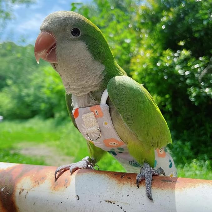 Snap-Closure Parrot Diaper Flight Suit for Cockatiels, Lovebirds & Medium Birds Cotton Washable Escape-Proof Harness with Leash Set(Green Monk Model+1 Meter Rope)
