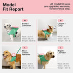 VETRESKA Flora Dog Harness, Leash and Collar Set, No Pull Vest Harness, M | for Walking and Training, Adjustable, Easy Control and Soft Padded Pet Harness and Backpack for Small Medium Large Dogs