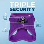 Best Pet Supplies Voyager Step-in Air Harness - All Weather Mesh, Reflective, No Pull Harness for Dogs, Cats - Secure with Hook & Loop Fastener, Buckle, Double D-Rings - Purple, S