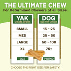 EcoKind Premium Gold Yak Cheese Himalayan Dog Chews, Dog Treats Large Breed, All Natural, High Protein Dog Chew, Cheese, Large - 1 Chew