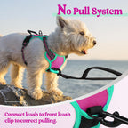 rabbitgoo Dog Harness No Pull with 2 Leash Clips, Adjustable Soft Padded, Reflective Oxford No Choke Pet Vest with Easy Control Handle for Large Dogs, Hot Pink & Turquoise, XS