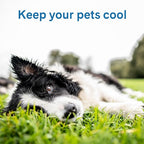 The Green Pet Shop Cool Pet Pad - Small, Latte- Self-Cooling, Pressure Activated Mat for Dogs & Cats from 9-20 lbs - Non-Toxic Gel, No Water Needed