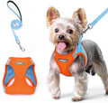 rabbitgoo Dog Harness Small Sized and Leash Set, Step in Soft Light Puppy Vest, Breathable Mesh Pet Harness, Reflective for Safe Easy Walking, Blue & Orange XS