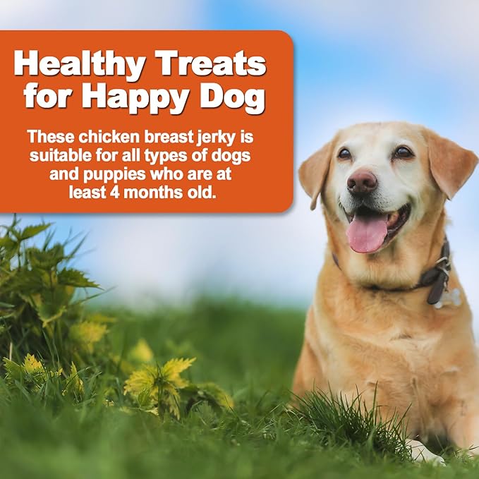 Amzey Chicken Jerky Dog Treats 24 OZ, 4 Resealable Bags, Real Chicken, Grain Free High Protein, Dental Health Support Dog Snacks, for Large & Small Dogs, Canine Chews