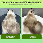 Pet Steam Brush, 3-in-1 Spray Hair Removal Comb for Dog and Cat, Steam for Shedding and Grooming, Spritz Defur Comb, Water Brush for Long & Short Haired Pets