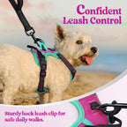rabbitgoo Dog Harness No Pull with 2 Leash Clips, Adjustable Soft Padded, Reflective Oxford No Choke Pet Vest with Easy Control Handle for Large Dogs, Hot Pink & Turquoise, XS