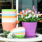 50 Pack 4 Inch Plant Pots Bulk Small Plastic Planters Pots with Drainage Holes Flower Pot for Succulent, Cactus, Herb, African Violet (50pcs-Multicolor, 4Inches)