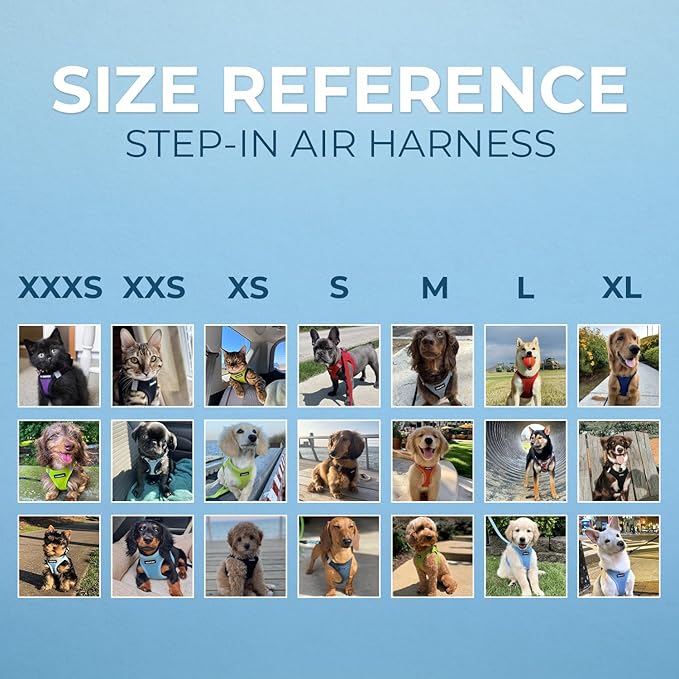 Best Pet Supplies Voyager Step-in Air Harness - All Weather Mesh, Reflective, No Pull Harness for Dogs, Cats - Secure with Hook & Loop Fastener, Buckle, Double D-Rings - Lavender, S