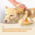 Professional Dog Brush Boar Bristle for Short-Haired Dogs - Reduces Shedding, Non-Slip Grip, Gentle Grooming