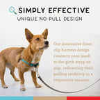 No Pull Dog Harness | Comfortable Training Harnesses | Effective No Pull Harness Design | Ideal for Large Sized Dog | 4-Point Adjustable(XL - 30~36 inch Girth, Turquoise)