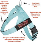 Adjustable Dog Harness– No Pull, No Choke – for English Bulldogs, French Bulldogs, Pugs & Broad-Chested Breeds – Easy, Safe Walks (Taco, Small)