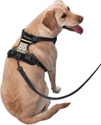 Custom New Orleans Dog Harness with Reflective Stripes Personalized Name and Number Dog Vest Harness with Pet Traction Rope for Small Medium Large Dog