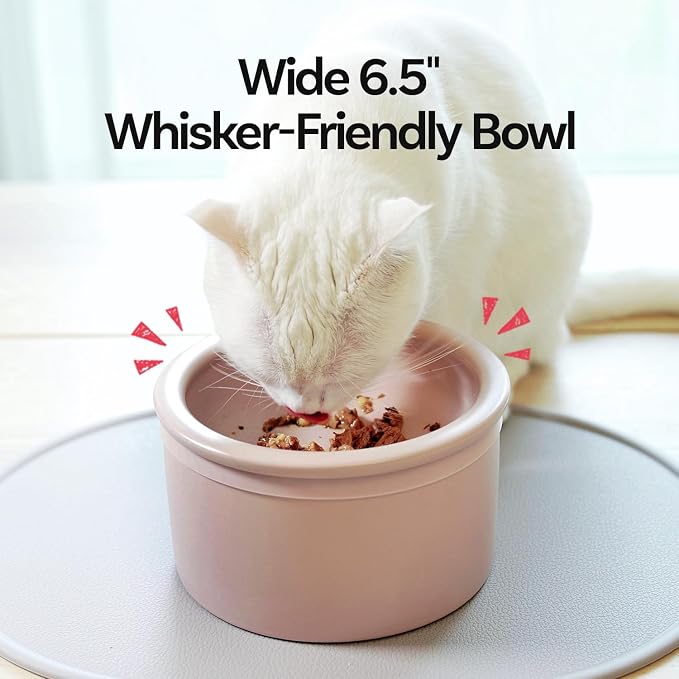 Hello Bowl Elevated Ceramic Cat Bowl with Stand, Raised Whisker-Friendly Feeding Bowl for Cats & Small Dogs, Patented Design, Made in Korea (5.9" H - Pink, Square/Dry)