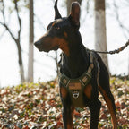 BUMBIN Tactical Dog Harness for Large Dogs, No Pull, Reflective, Green, L(Neck:19-25", Chest:21-35")