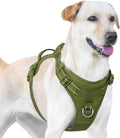 No Pull Dog Harness, Reflective Puppy Vest for Small Medium Large Sized Dog (Misty Green,L)
