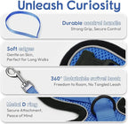 Dooradar Cat Harness and Leash Set, Escape Proof Safe Adjustable Kitten Vest Harnesses for Walking, Easy Control Soft Breathable Mesh Jacket with Reflective Strips for Cats, Blue, S