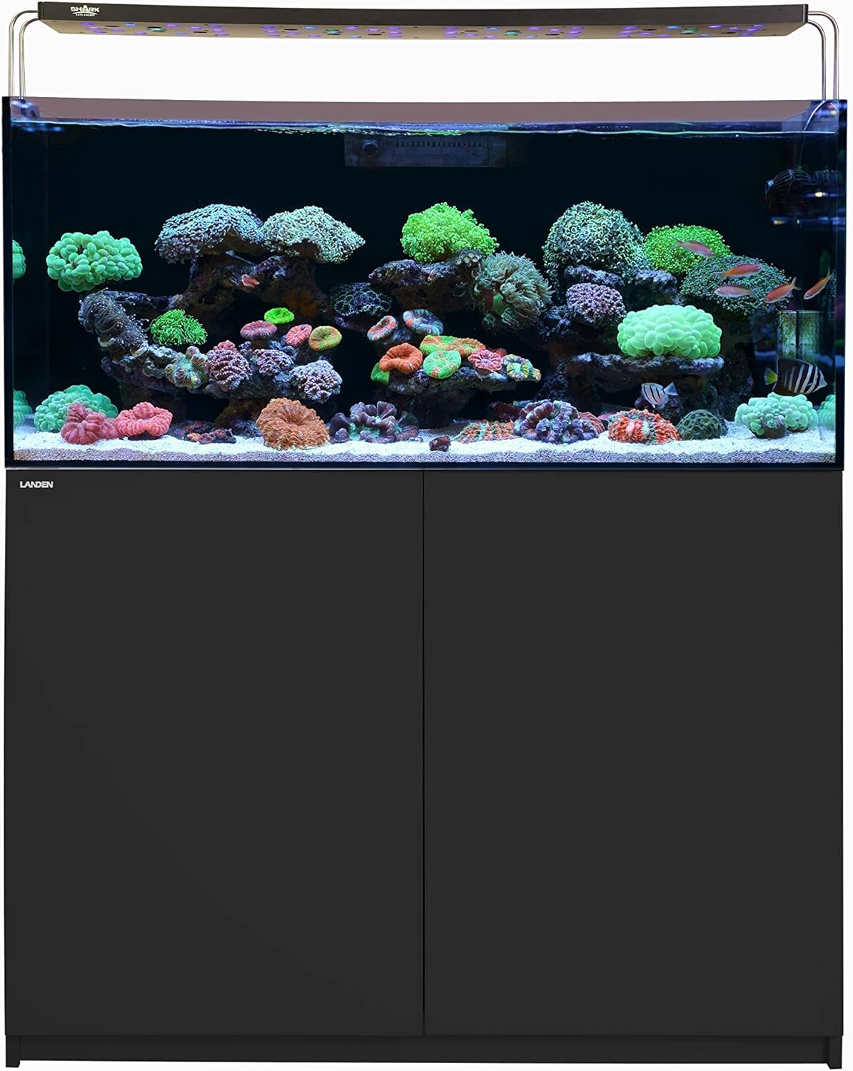 LANDEN Aquarium Wooden Stand and Cabinet for up to 72.2 Gal Tank, Fish Reptile Sea Salt WaterTank Stand, Nano Foam Leveling Mat Included, W47.2xD19.7xH31.5 in, Wooden Matte Black Painted(Stand Only)