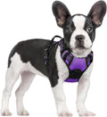 rabbitgoo Dog Harness No Pull with 2 Leash Clips, Adjustable Soft Padded, Reflective Oxford No Choke Pet Vest with Easy Control Handle for Small Dogs, Purple, S