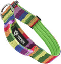 TSPRO Premium Dog Collars Tactical Dog Collar with Handle and Heavy Duty Quick-Release Metal Buckle Durable Thick and Adjustable for Medium to Large Dogs (Gradient Multi-Colored L)