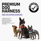 Dog Friendly Co. Dog Harness for Small Dogs (Green Camo, Small) | One Click Buckle, Chafe Resistant Webbing, Adjustable Neck & Chest, and Heavy Duty D-Ring, Sturdy Comfortable and Easy to Use