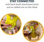 Ruffwear, Hi & Light, Everyday Lightweight Dog Harness, Trail Running, Walking, Hiking, All-Day Wear, Sage Green, XXX-Small