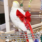 Bird Diaper Parrot Washable Diapers, Parrot Flight Suit, Reusable Nappies for Parakeet Cockatiel Mini Macaw Budgie Conure Lovebird (Black,Macaw)