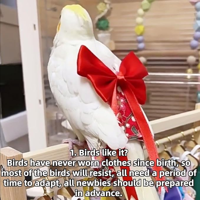 Bird Diaper Parrot Washable Diapers, Parrot Flight Suit, Reusable Nappies for Parakeet Cockatiel Mini Macaw Budgie Conure Lovebird (Black,Macaw)