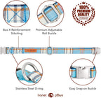 Lionet Paws Boy Dog Collar with Bowtie, Comfortable Adjustable Cute Blue Plaid Bow Tie Collar for Male Dogs Gift, Small, Neck 10-16 inches