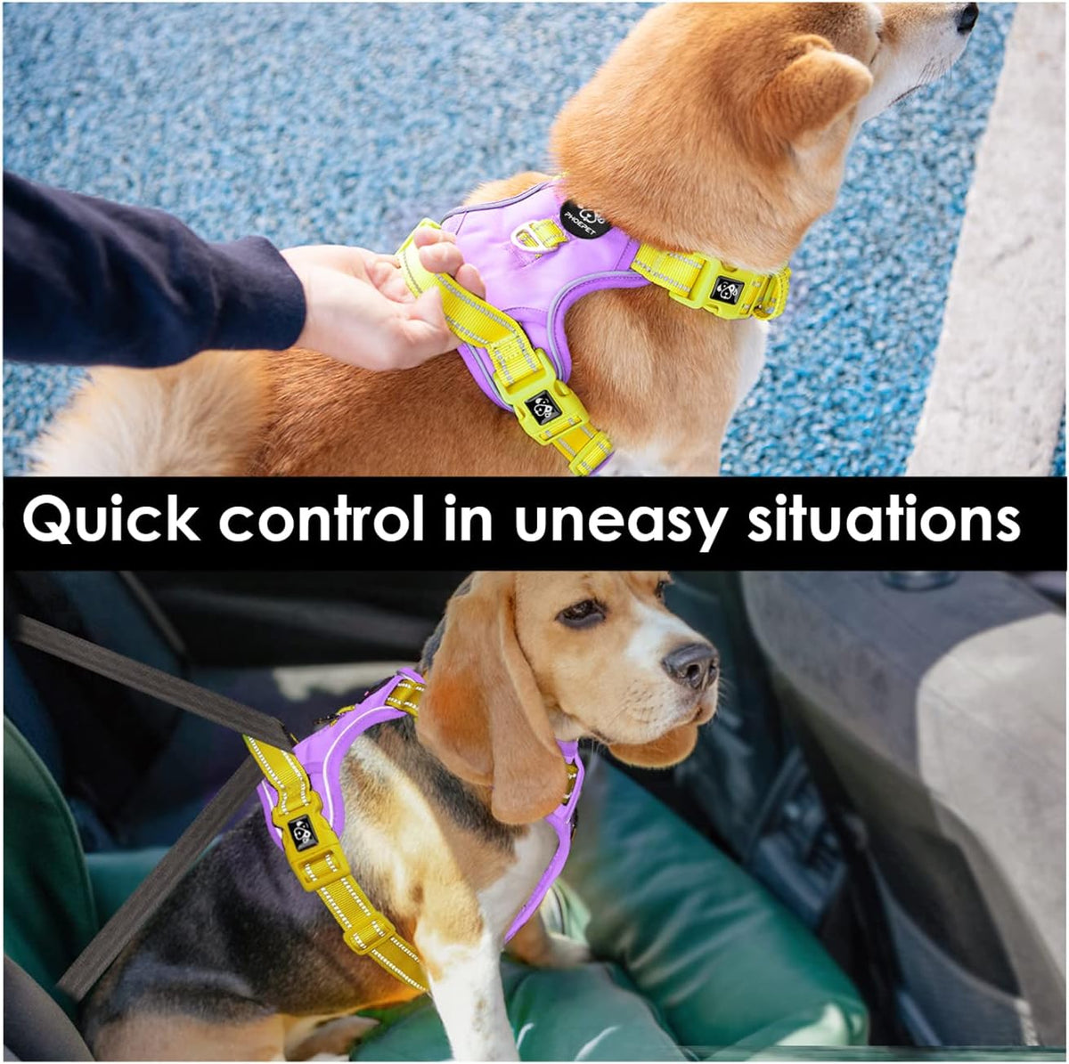 PHOEPET No Pull Dog Harness, Unique Colors Reflective Adjustable Dog Vest, with Soft Training Handle Metal Clips for Small Medium Large Dogs (Baby Purple Base & Yellow Straps,L)