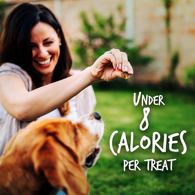 Fruitables Baked Dog Treats – Healthy Low Calorie – Free of Wheat, Corn and Soy – Pumpkin and Banana – 12 Ounces (Pack of 2)
