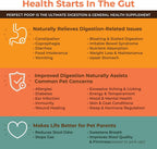 Perfect Poop Digestion & Health Supplement for Dogs: Fiber, Prebiotics, Probiotics, Enzymes Digestive, Hard & Soft Stool, Improved Health (4.2oz Cheddar Bag + 4.2 oz Chicken Bag, 4.2 oz Bundle)