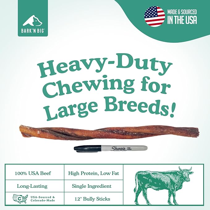 BARK'N BIG Thick 12 Inch Odor Free Bully Sticks for Large Dogs Made in USA - Single Ingredient Dog Chew - Premium Pizzle Sticks - Beef Pizzles for Large Breeds - 5 Count