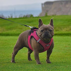 Best Pet Supplies Voyager Step-in Air Harness - All Weather Mesh, Reflective, No Pull Harness for Dogs, Cats - Secure with Hook & Loop Fastener, Buckle, Double D-Rings - Tone, S