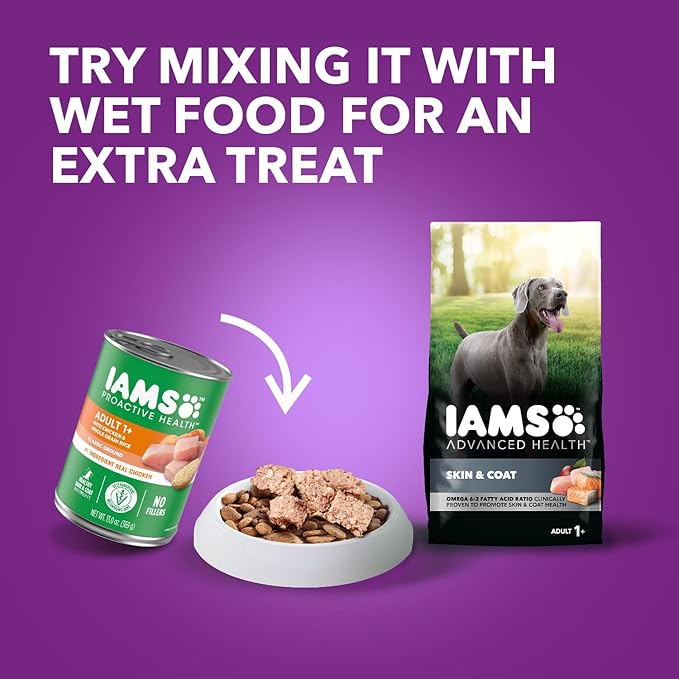 IAMS Advanced Health Skin & Coat Adult Dry Dog Food Chicken and Salmon Recipe, 6 lb. Bag