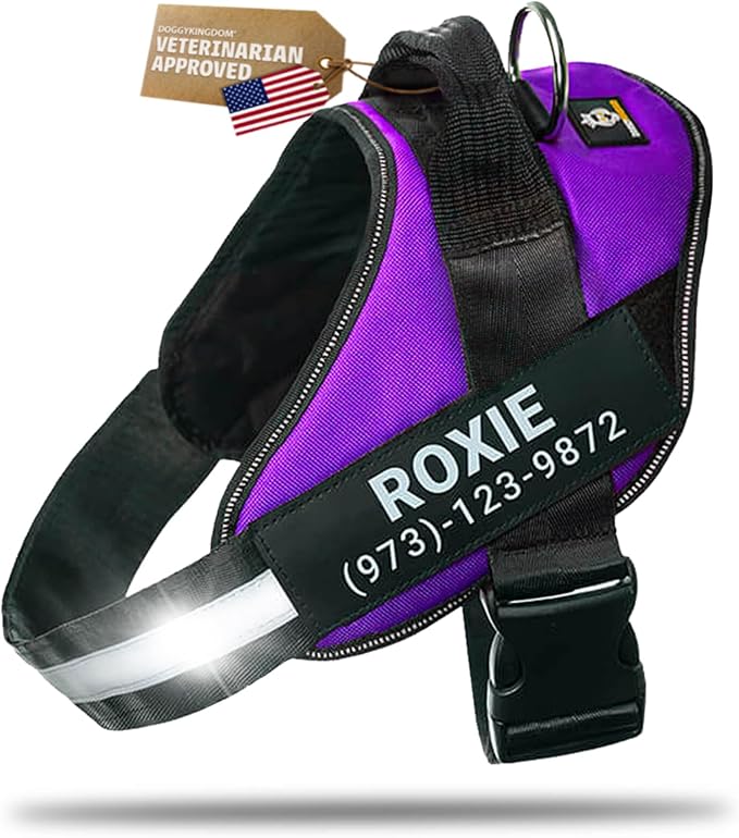 Personalized Dog Harness with Custom Name Patches, Adjustable Reflective No Choke Dog Vest with Handle for XXL Dog, Purple, 2XL