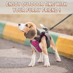 Dog Harness Step in Dog Vest Harness, Reflective Adjustable Puppy No Pull Harness Breathable Soft for Small and Medium Dogs Cats, Pink/Black, XS