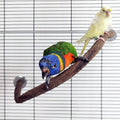 Parrot Perch Stand Bird Cage Stand Pole Natural Wild Grape Stick Grinding Paw Cage Accessories for Parakeet Cockatiels Budgies Conure Lovebirds Platform (U-Shaped)