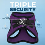 Best Pet Supplies Voyager Step-in Air Harness - All Weather Mesh, Reflective, No Pull Harness for Dogs, Cats - Secure with Hook & Loop Fastener, Buckle, Double D-Rings - Purple/Black Trim, XXS